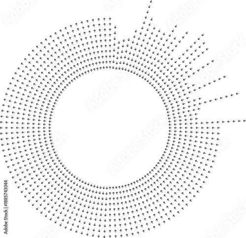 Long rays occupy only one quarter of circular area.