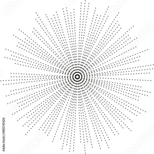 Long irregular rays radiate outward from empty central space.