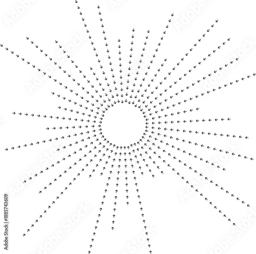 Rays with varying thickness and large differences in lengths.