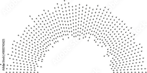 Long irregular rays fill half-circle inside and outside.