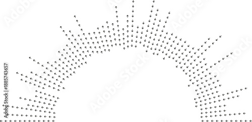 Medium-length irregular rays fill half-circle inside and outside.