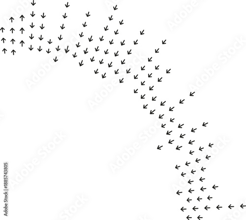 Irregular rays occupy quarter circle forming partial radial flow.