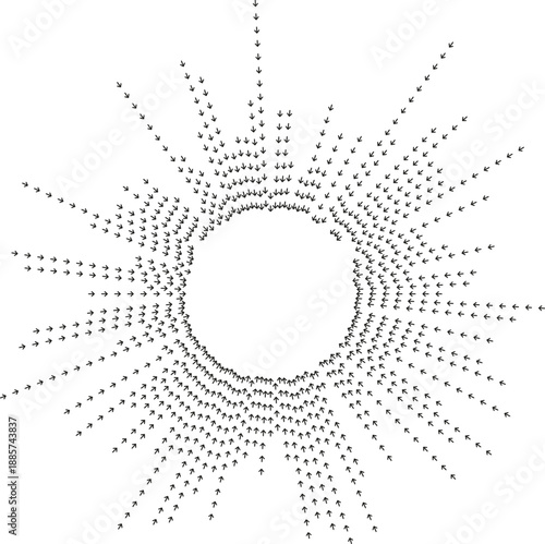 Rays taper inward with extreme length differences forming explosion.