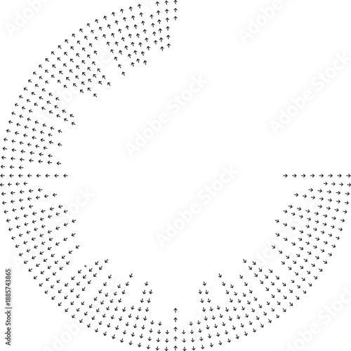 Rays taper outward from empty central space forming flow.
