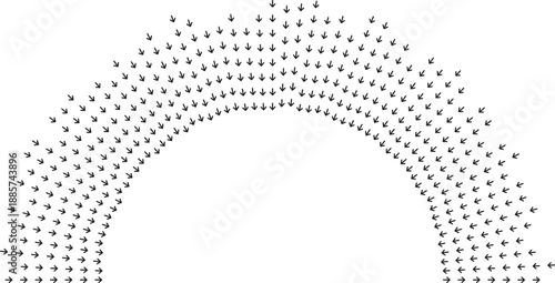 Semi-circular irregular rays of long varying lengths.