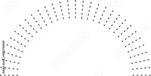 Semicircular rays curve around central space.