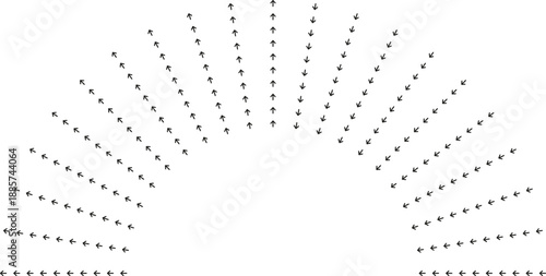 Semicircular rays around medium central space.