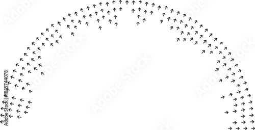 Semicircular rays bend inward with large central space.
