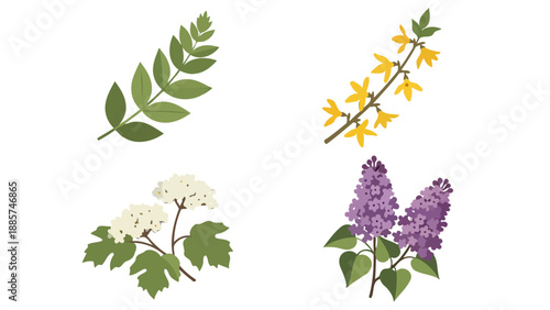 Colorful Spring Botanical Vector Set Green Leaves Yellow Forsythia White Viburnum Purple Lilac Branches.