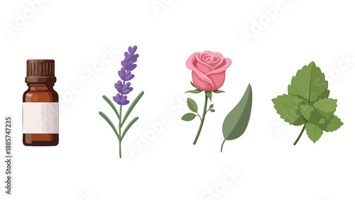 Aromatherapy elements amber essential oil bottle vibrant lavender sprig delicate pink rose fresh green mint leaf.