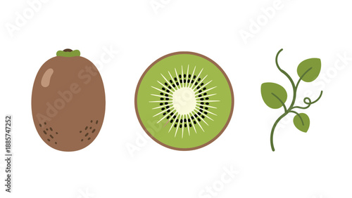 Cartoon Kiwi Fruit Illustration Set Whole Sliced and Vine with Leaves.
