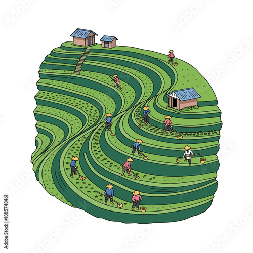 Vector Illustration of Farmers Working Asian Rice Terraces
