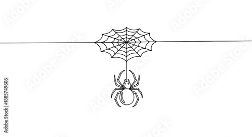 Detailed hand drawn illustration of a spider descending on a silken thread from its intricately crafted web