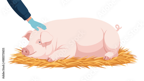 A gentle hand in a blue glove softly pets a happy, sleeping pink pig resting comfortably on a bed of golden hay against a white background.