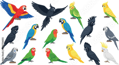 Colorful parrot and tropical bird illustration set with flying and standing poses, exotic wildlife species, nature animals, and detailed flat vector design