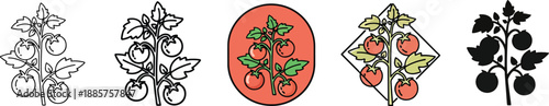 Tomato Plant Icon Set Flat and Outline Style