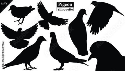 Set of pigeons silhouette isolated on white background, Beautiful pigeon logo icon vector design, standing, pigeons silhouette vector illustration, vector. Black pigeon Silhouette logo, bird icon