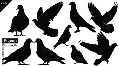 Set of pigeons silhouette isolated on white background, Beautiful pigeon logo icon vector design, standing, pigeons silhouette vector illustration, vector. Black pigeon Silhouette logo, bird icon