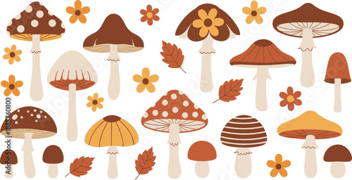 Autumn mushroom illustration set with cute toadstools, fall leaves, flowers, woodland fungi, and cozy seasonal nature elements in flat vector style