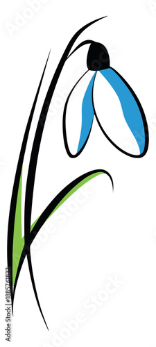 Line art illustration of a snowdrop flower depicting early spring bloom for nature themed designs