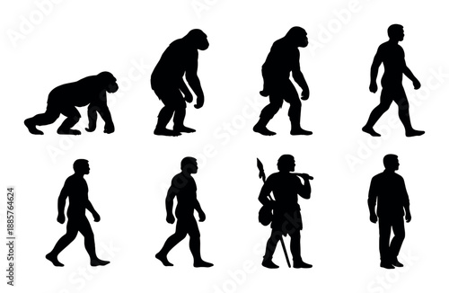 Evolution progression silhouettes from ape to human
