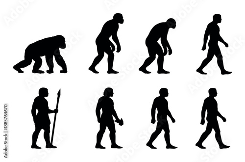 Evolution of human silhouettes from primate to modern man