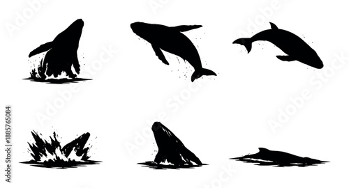 Silhouettes of whales in various poses against white background