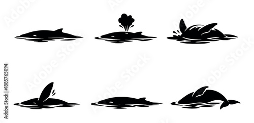 Silhouette of dolphins: swimming, jumping, breaching, diving in ocean