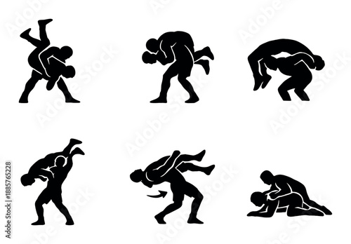 Silhouette martial arts sparring techniques and ground takedowns