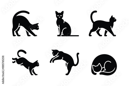 A collection of six black cat icons showing various movements and behaviors