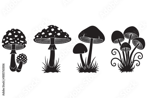 A black and white illustration of various mushroom species in a grassy field