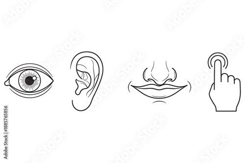 A black and white illustration of human senses including eye, ear, mouth, and finger.