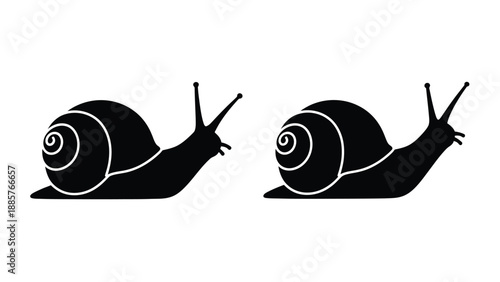 Two black snails crawling forward a striking silhouette