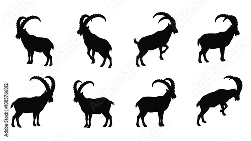 Multiple ibex silhouettes in various poses a striking graphic silhouette