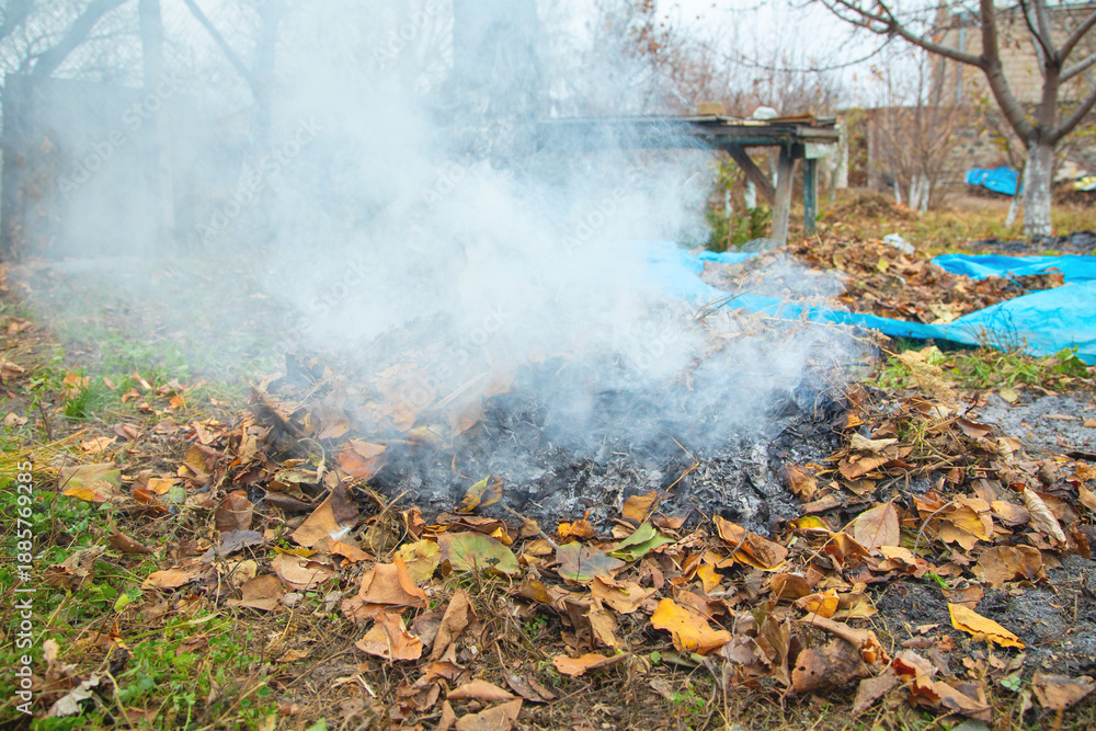 Fototapeta premium Smoke in the garden. Burning autumn leaves