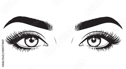 A close up illustration of a womans eyes with long eyelashes and thick eyebrows.