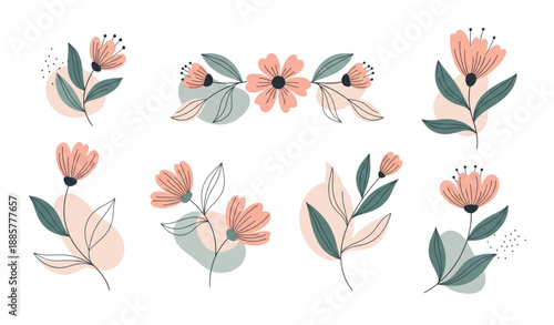 Elegant floral motifs and botanical flower elements in clean vector style isolated on transparent background