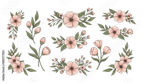 Beautiful floral design elements with decorative flower motifs isolated on transparent background