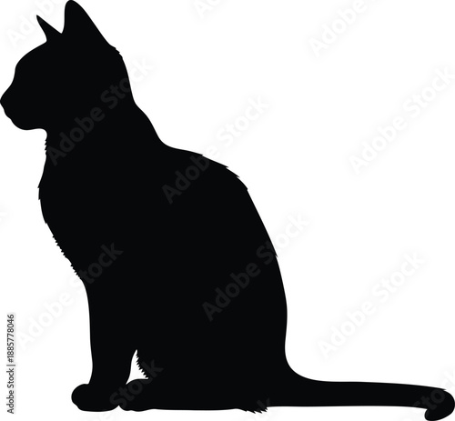 Black silhouette of graceful sitting cat profile view detailed feline outline domestic pet kitten side posture animal shape graphic element minimal style isolated dark kitten shadow furry friend
