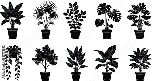 Black and White Potted Houseplant Silhouette Set Featuring Monstera Palm Ficus and Hanging Ivy Greenery Icons for Interior Design Decor and Home Gardening Graphics