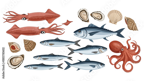Large collection of various fresh seafood, including fish, squid, octopus, oysters, and other assorted shellfish illustrations.