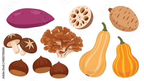 Collection of various autumn vegetables and ingredients, including sweet potato, mushrooms, chestnuts, and butternut squash.