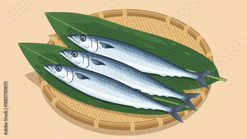 Traditional Japanese illustration of three fresh Pacific saury fish, or sanma, elegantly presented on green leaves on a woven bamboo zaru tray.