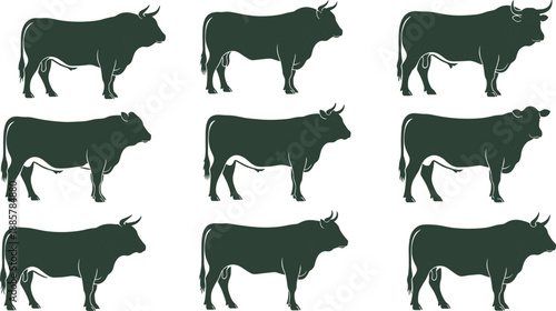 Black Bull Silhouettes Set with Various Cattle Breed Profiles Strong Male Cow Icons and Livestock Farming Symbols Isolated on White Background for Vector Graphic Design
