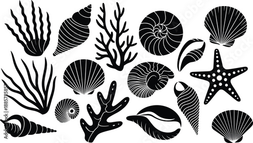 Sea life icon set, shells, coral, starfish, seaweed, marine elements, black silhouette vector illustration, isolated on white
