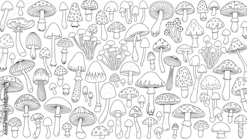 Detailed and dense black and white line art pattern featuring a wide variety of mushroom species in different shapes, sizes, and textures.
