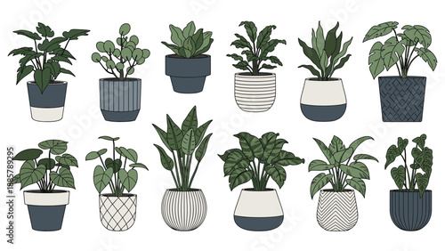 Set of diverse indoor house plants in various modern decorative pots with clean green foliage and black outlines on a white background.