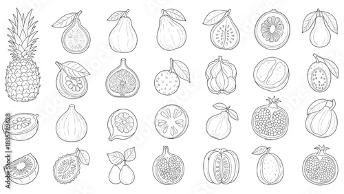 Extensive collection of hand drawn fruit icons and cross-sections in a minimalist line art style including exotic fruits like pineapple and pomegranate.