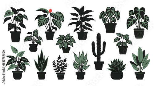 Collection of various indoor house plants in ceramic pots presented as flat vector illustrations and silhouettes on a white background.