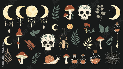 Mystical collection of occult elements including skulls with leaves, moon phases, mushrooms, spiders, and potion bottles on a black background.